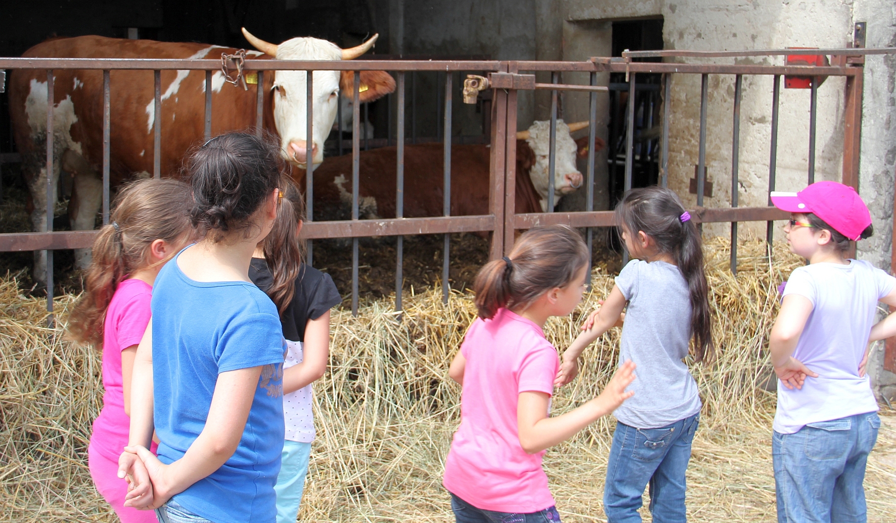 Hausaufgabenbetreuung im Caritasverband Fürth