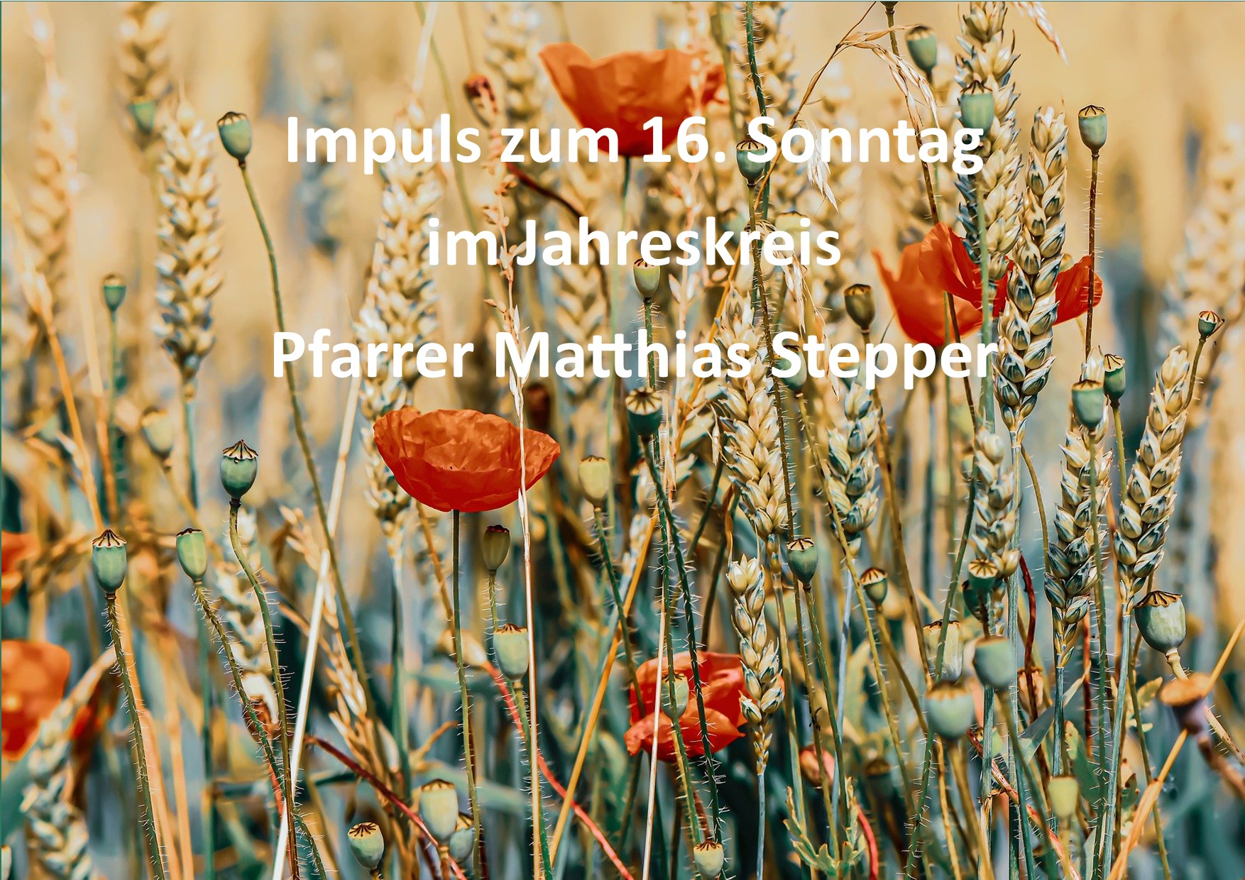 Impuls zum 16. Sonntag im Jahreskreis Pfarrer Matthias Stepper