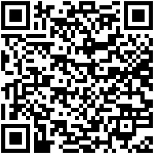 QR Code Online Beratung