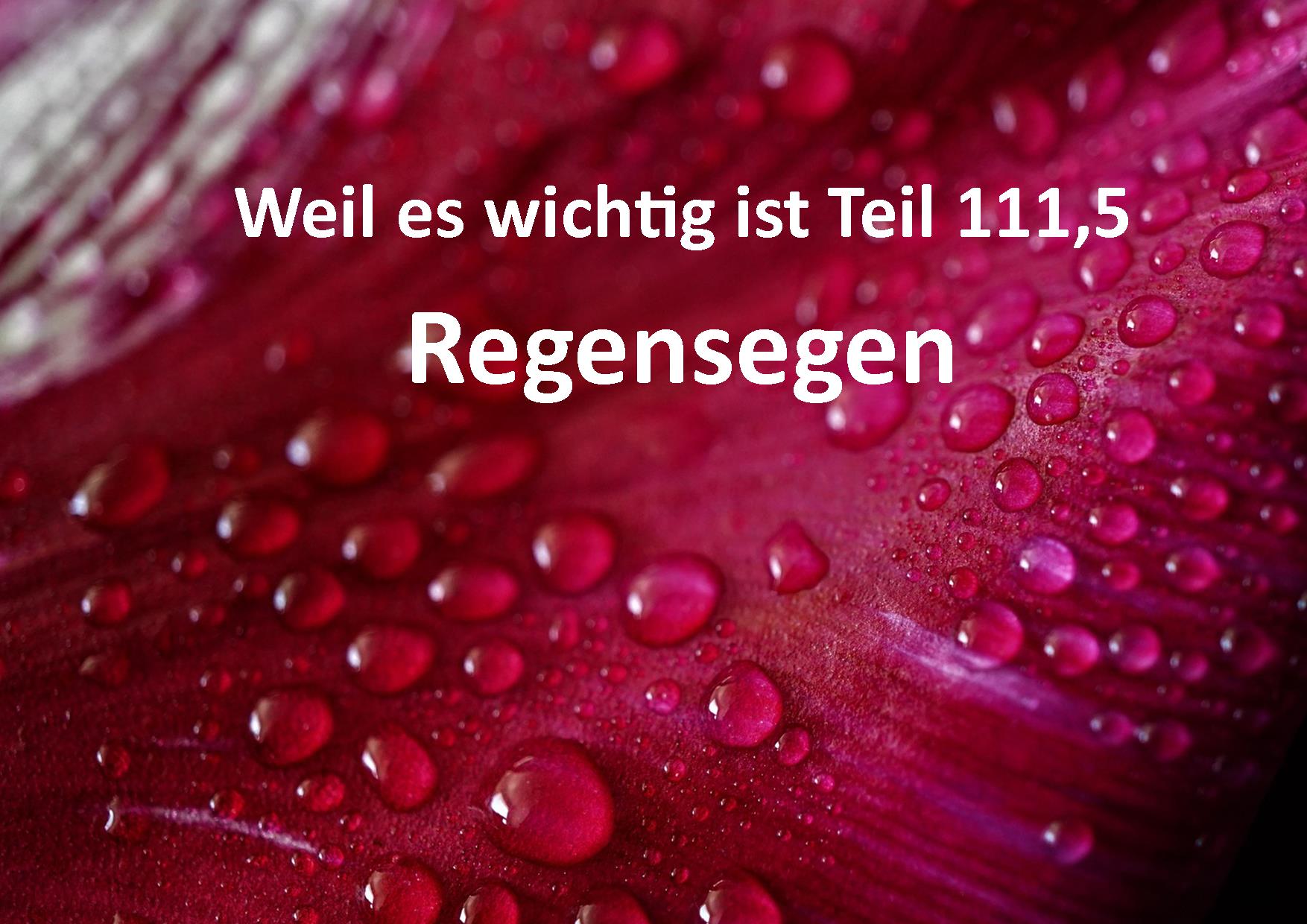 Weil es wichtig ist Teil 111,5