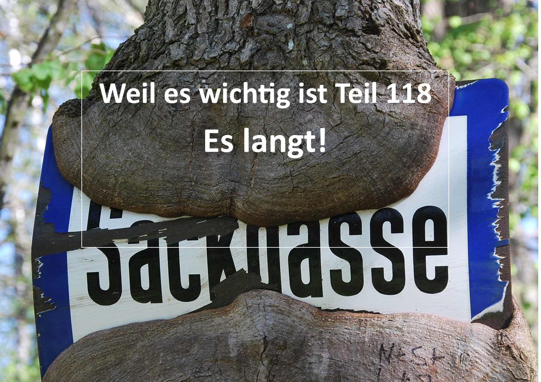 Weil es wichtig ist Teil 118
