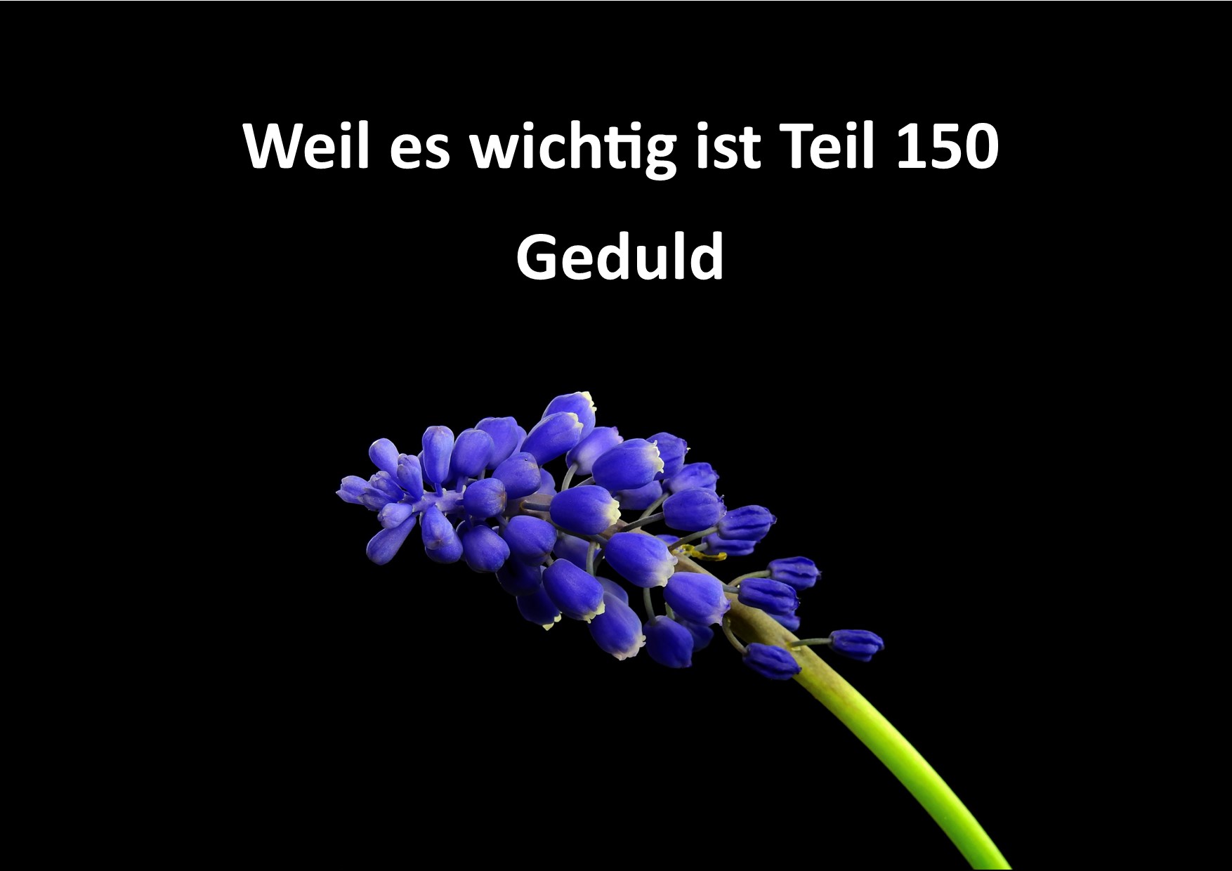 Weil es wichtig ist Teil 150