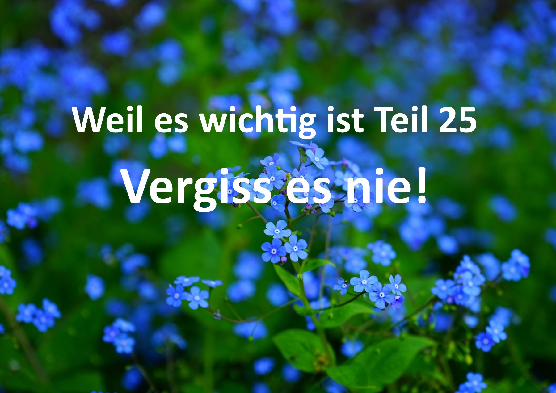 Weil es wichtig ist Teil 25