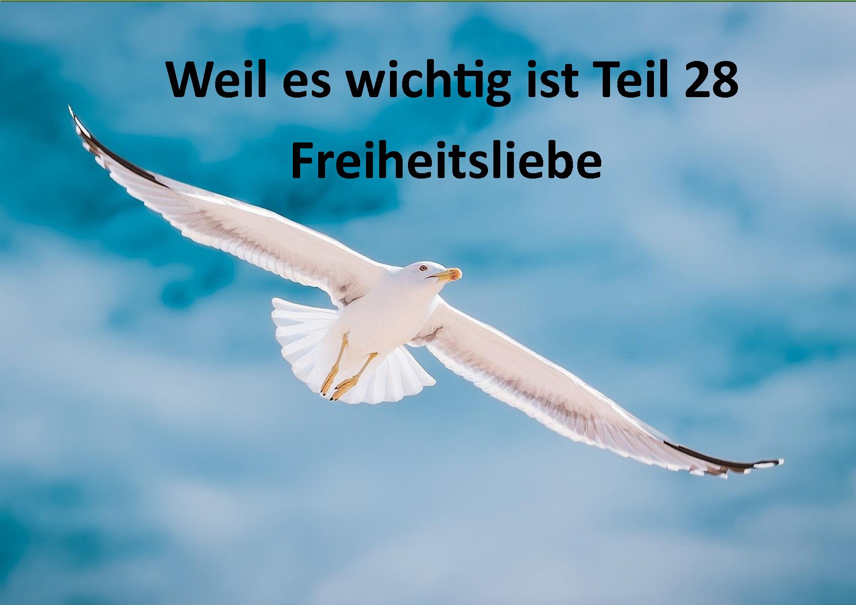 Weil es wichtig ist Teil 28