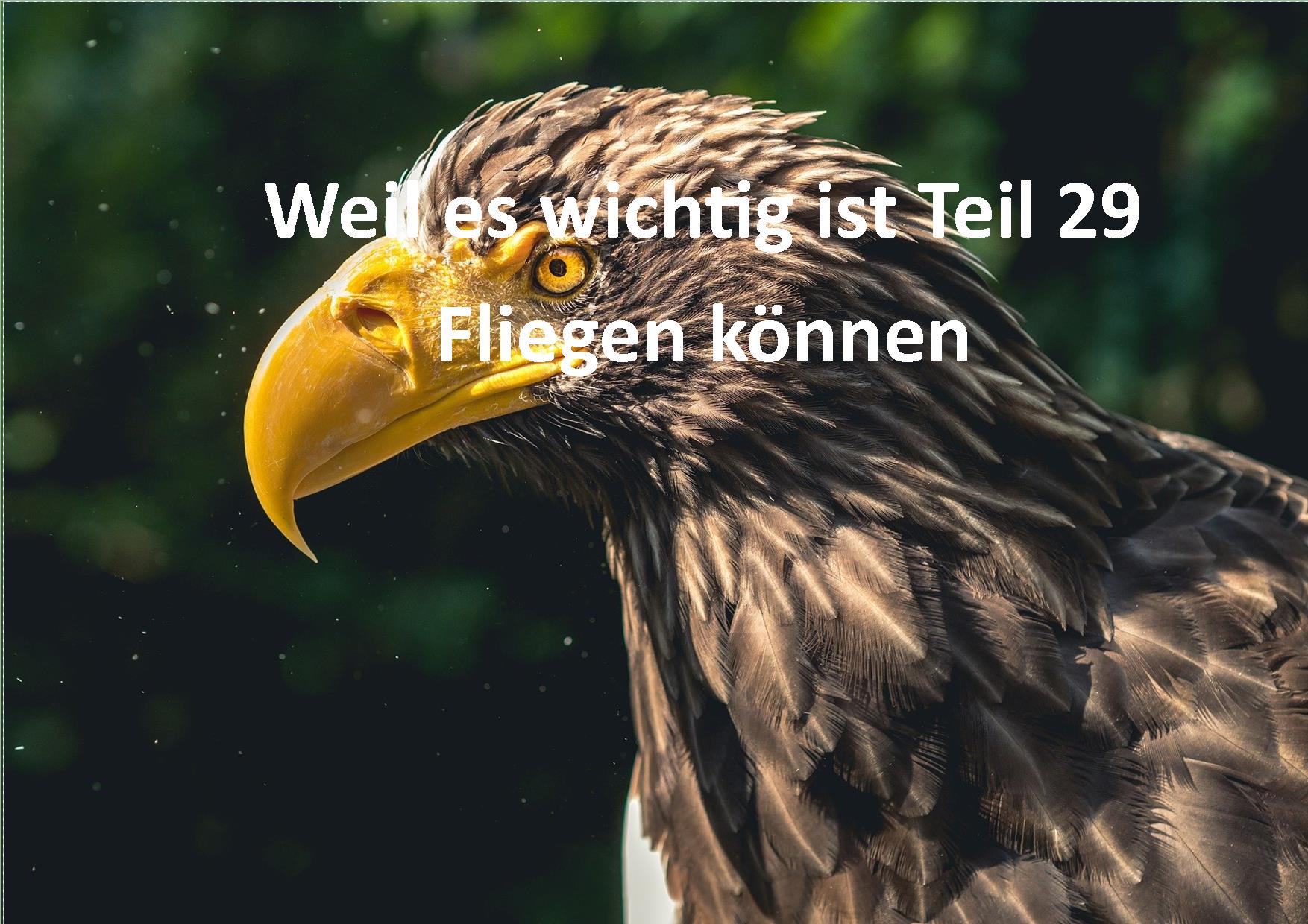 Weil es wichtig ist Teil 29