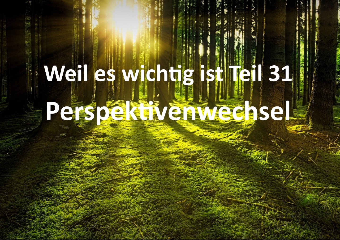 Weil es wichtig ist Teil 31