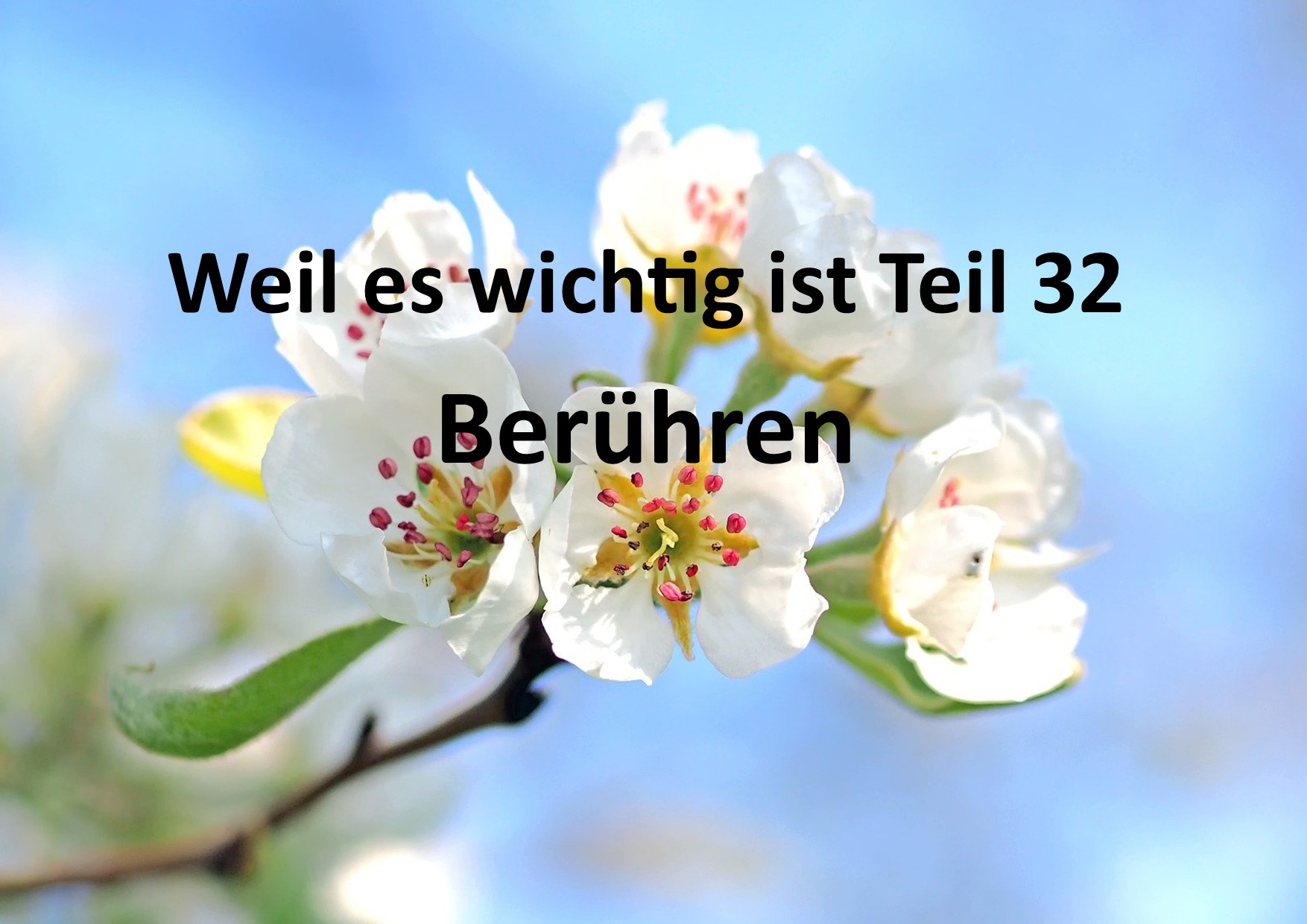Weil es wichtig ist Teil 32