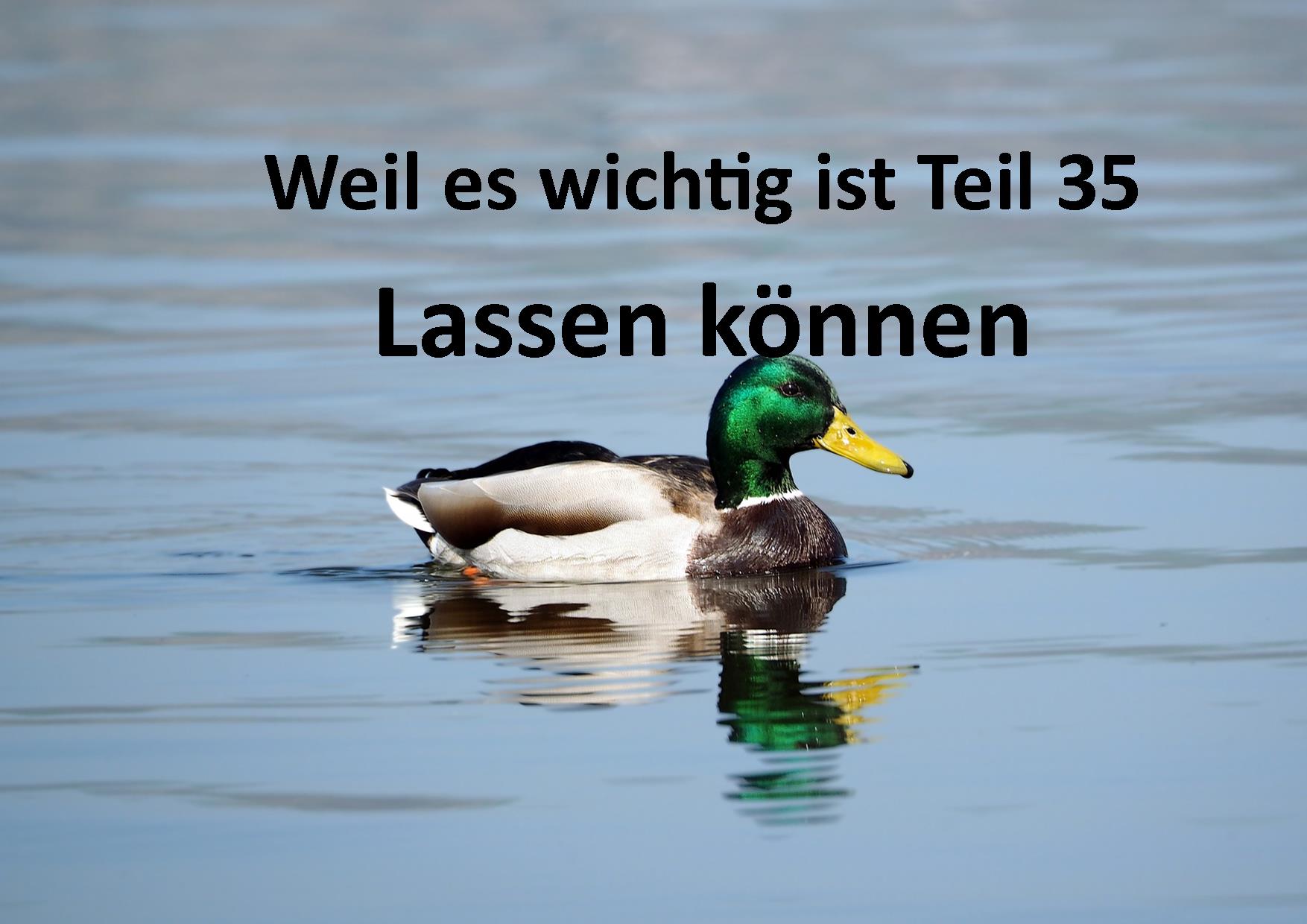 Weil es wichtig ist Teil 35