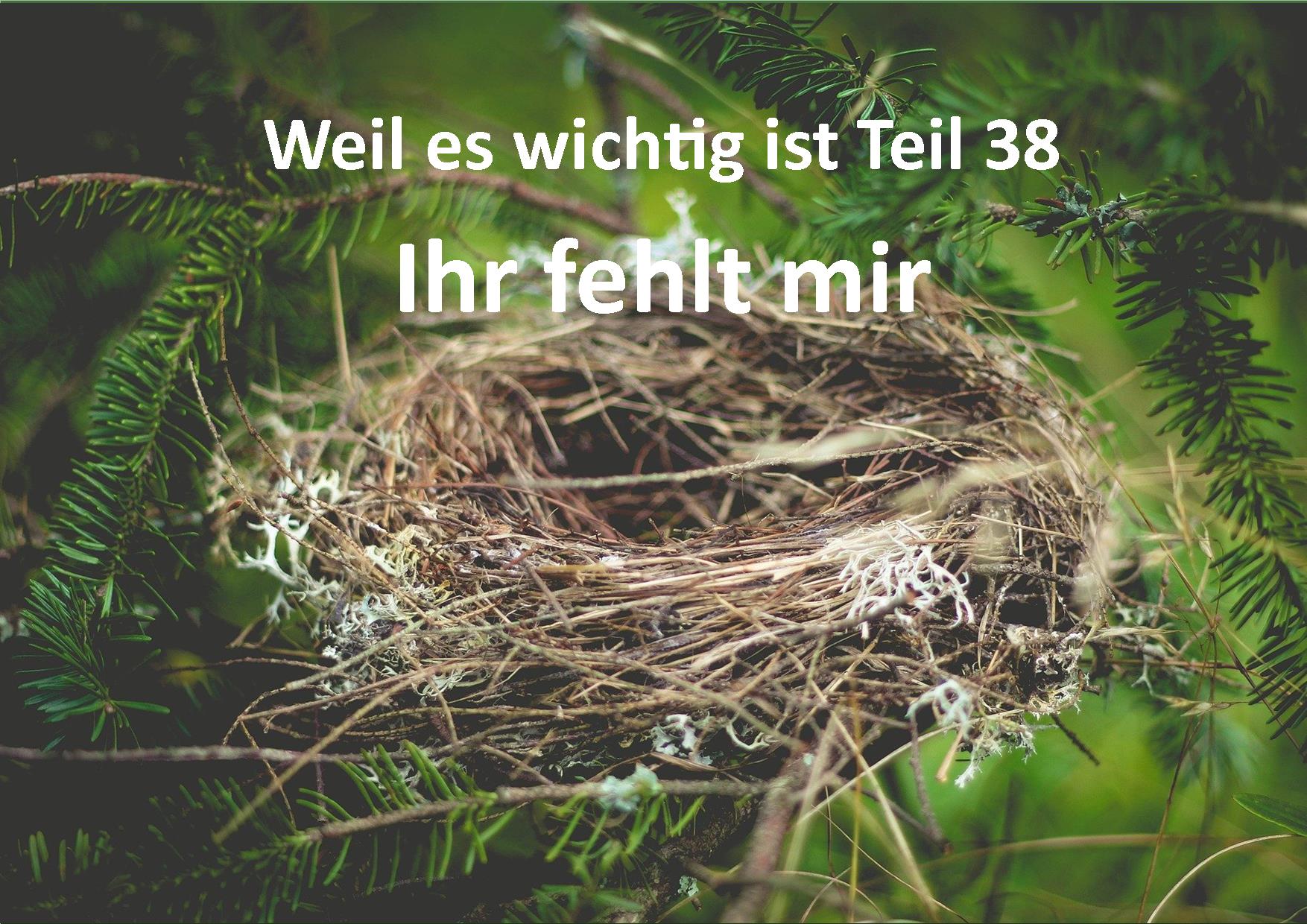 Weil es wichtig ist Teil 38