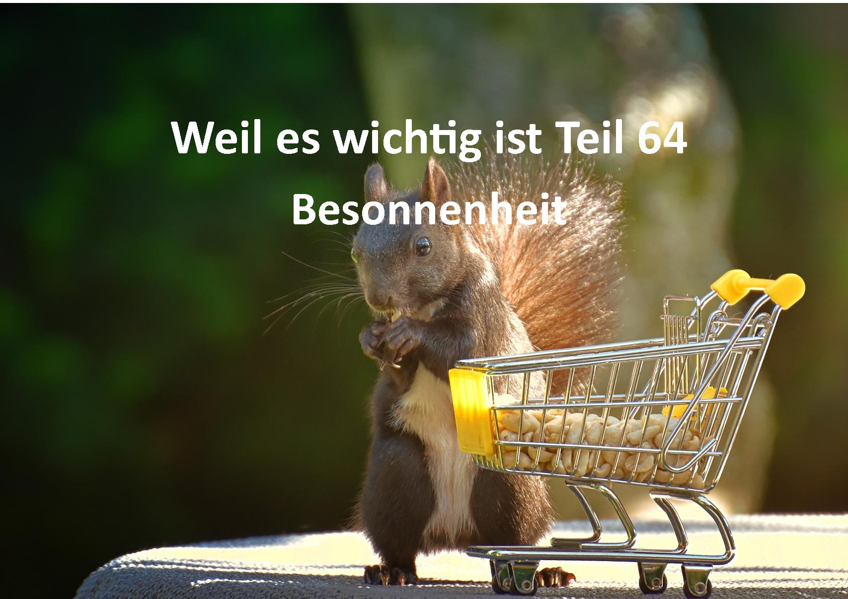 Weil es wichtig ist Teil 64