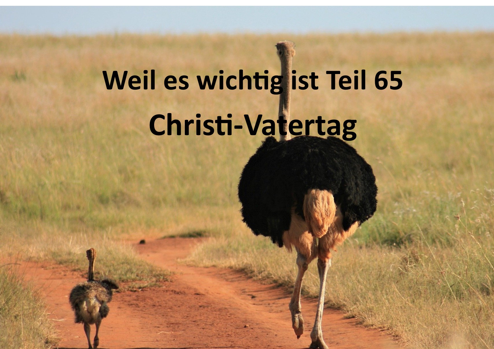 Weil es wichtig ist Teil 65