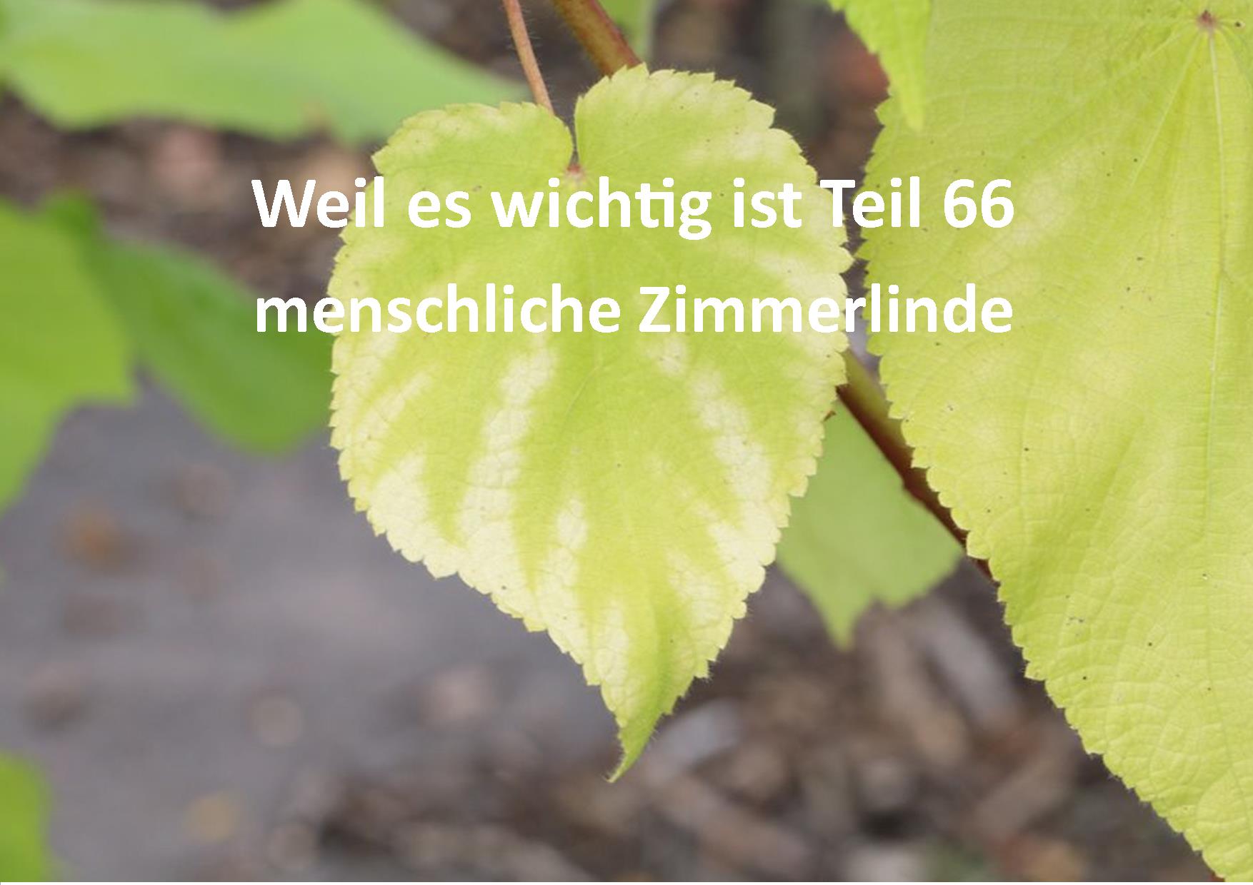 Weil es wichtig ist Teil 66