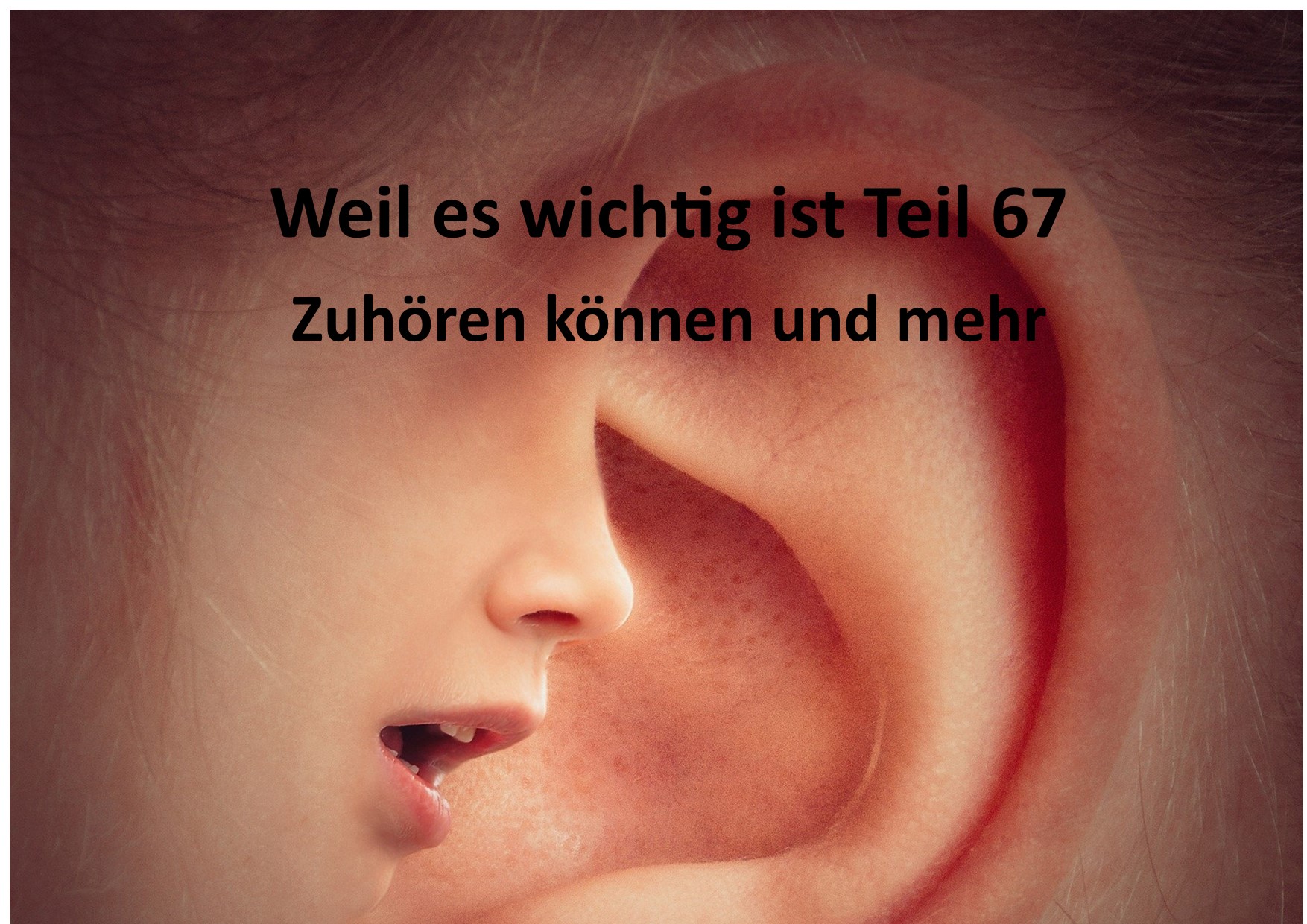 Weil es wichtig ist Teil 67