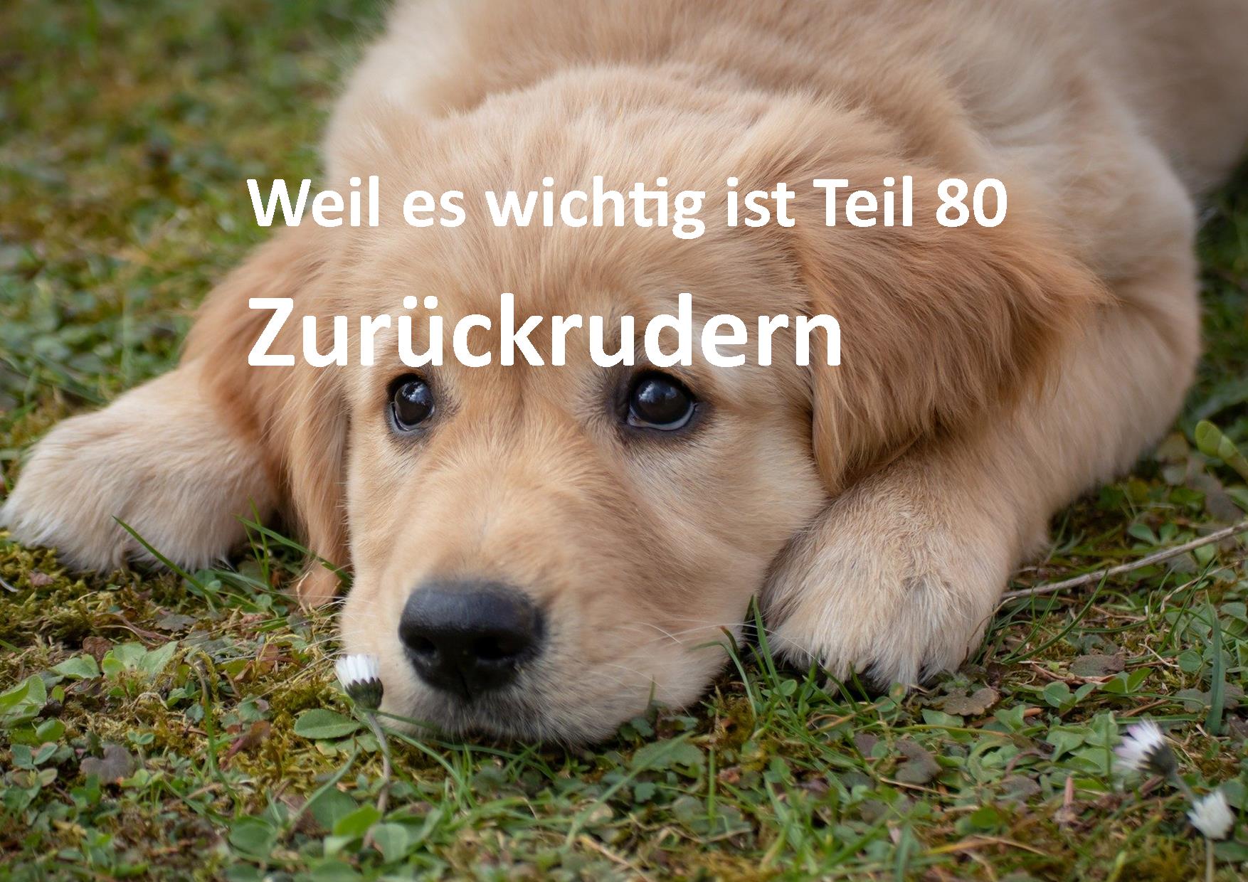 Weil es wichtig ist Teil 80