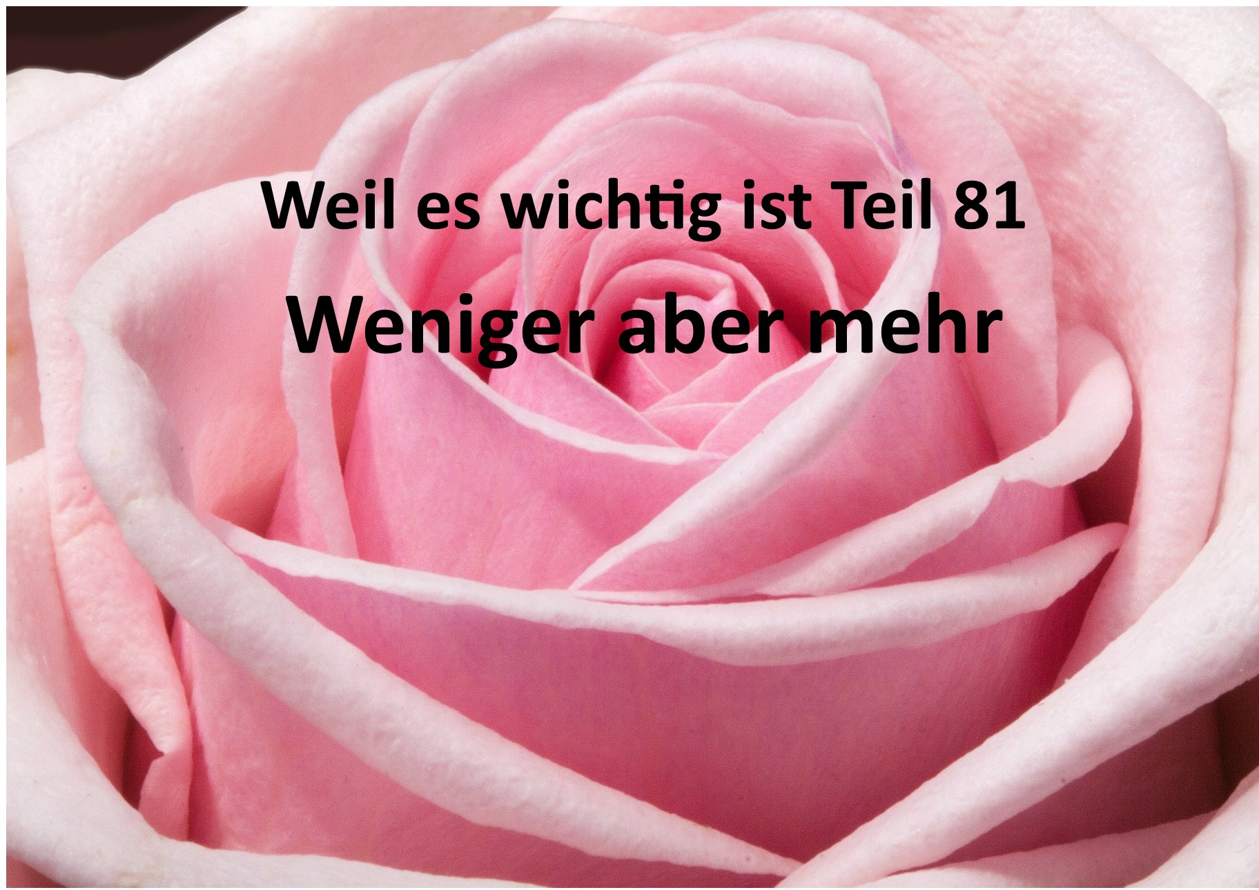 Weil es wichtig ist Teil 81