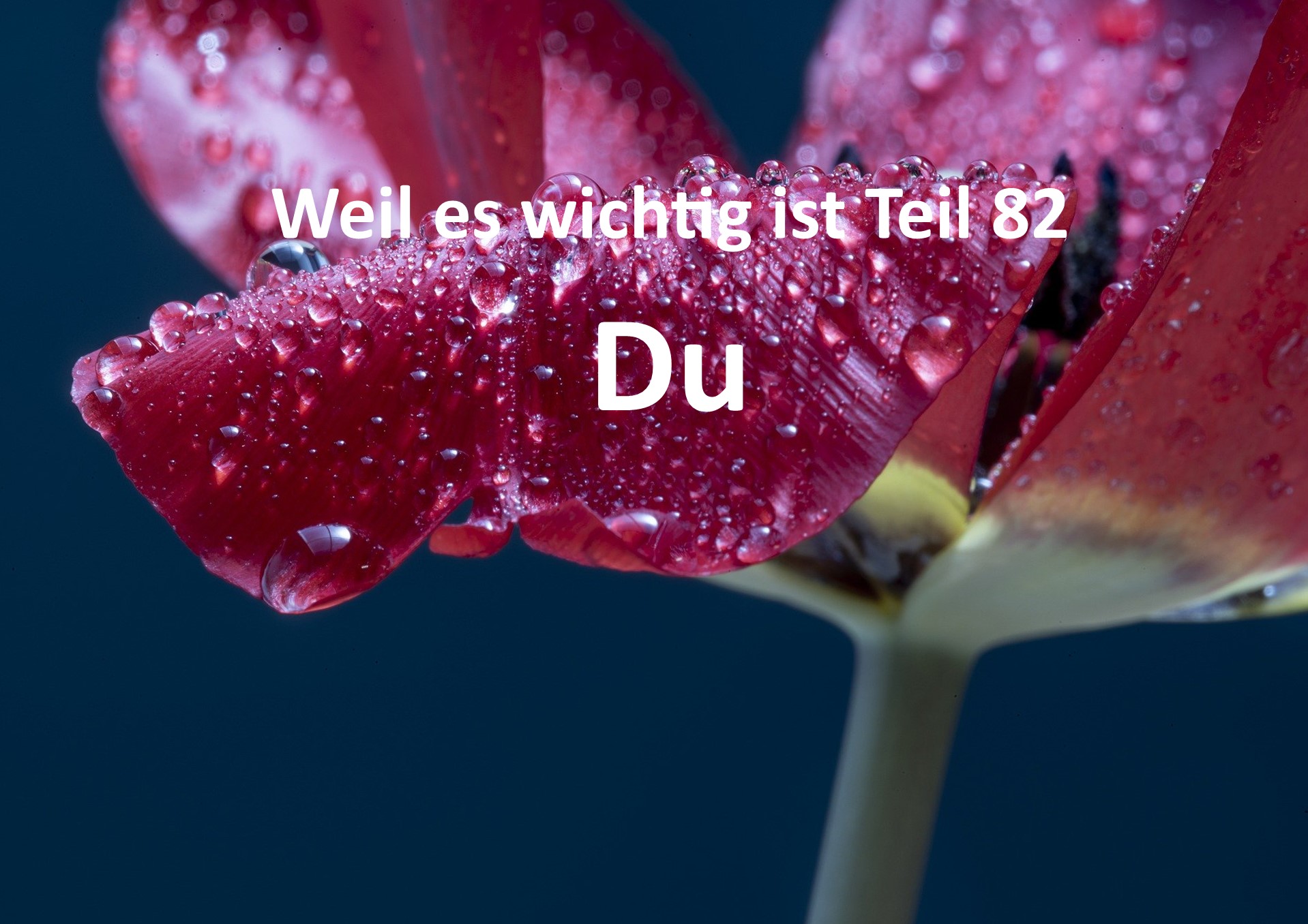 Weil es wichtig ist Teil 82