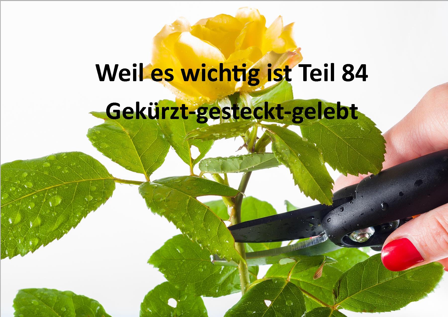Weil es wichtig ist Teil 84