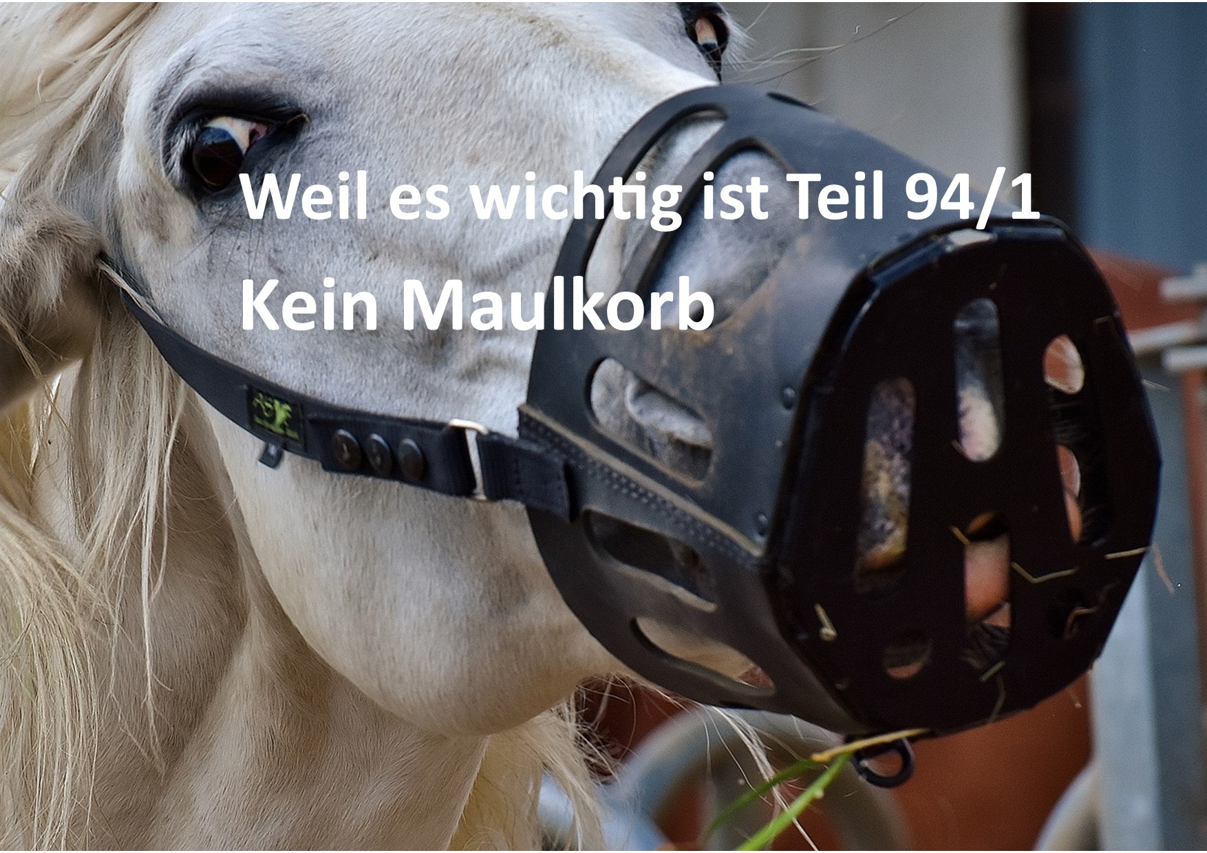 Weil es wichtig ist Teil 94/1