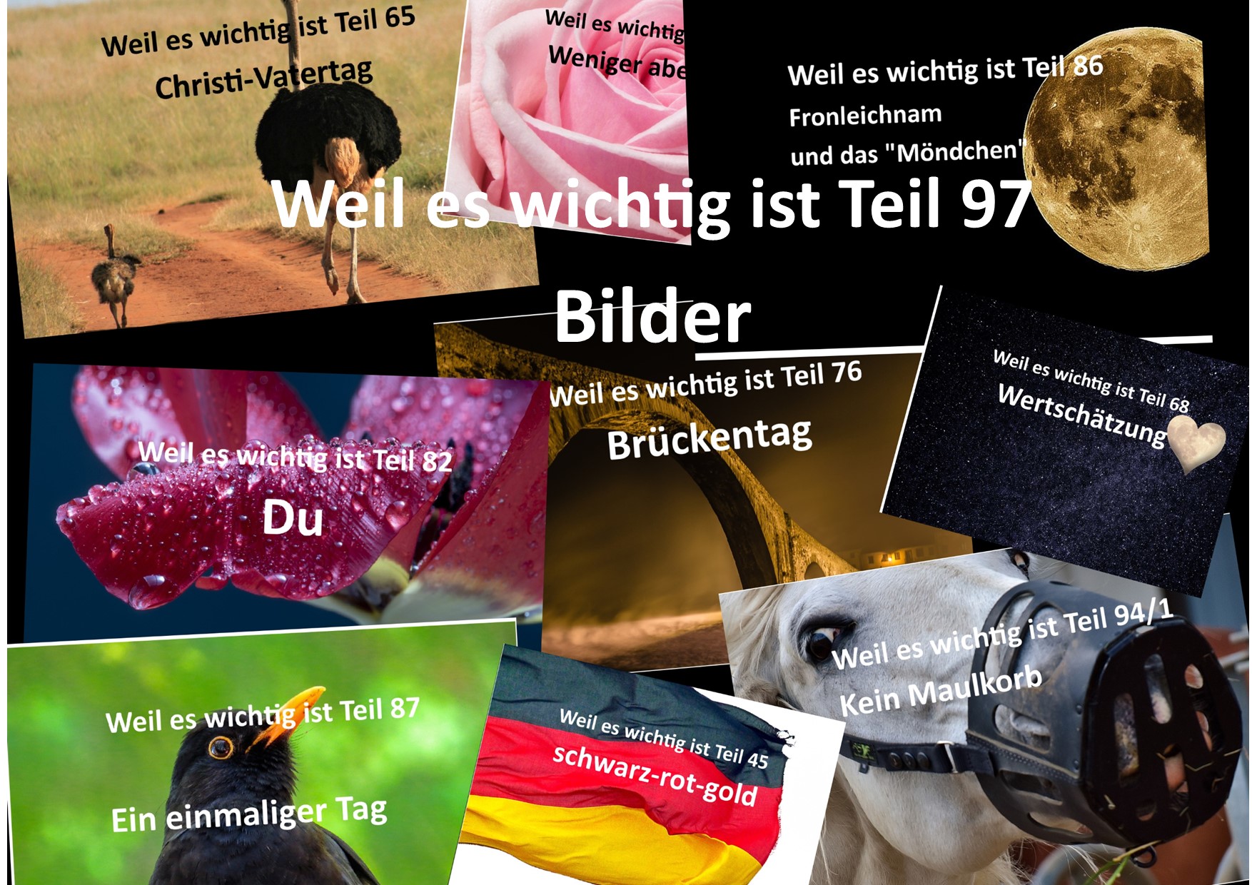 Weil es wichtig ist Teil 97