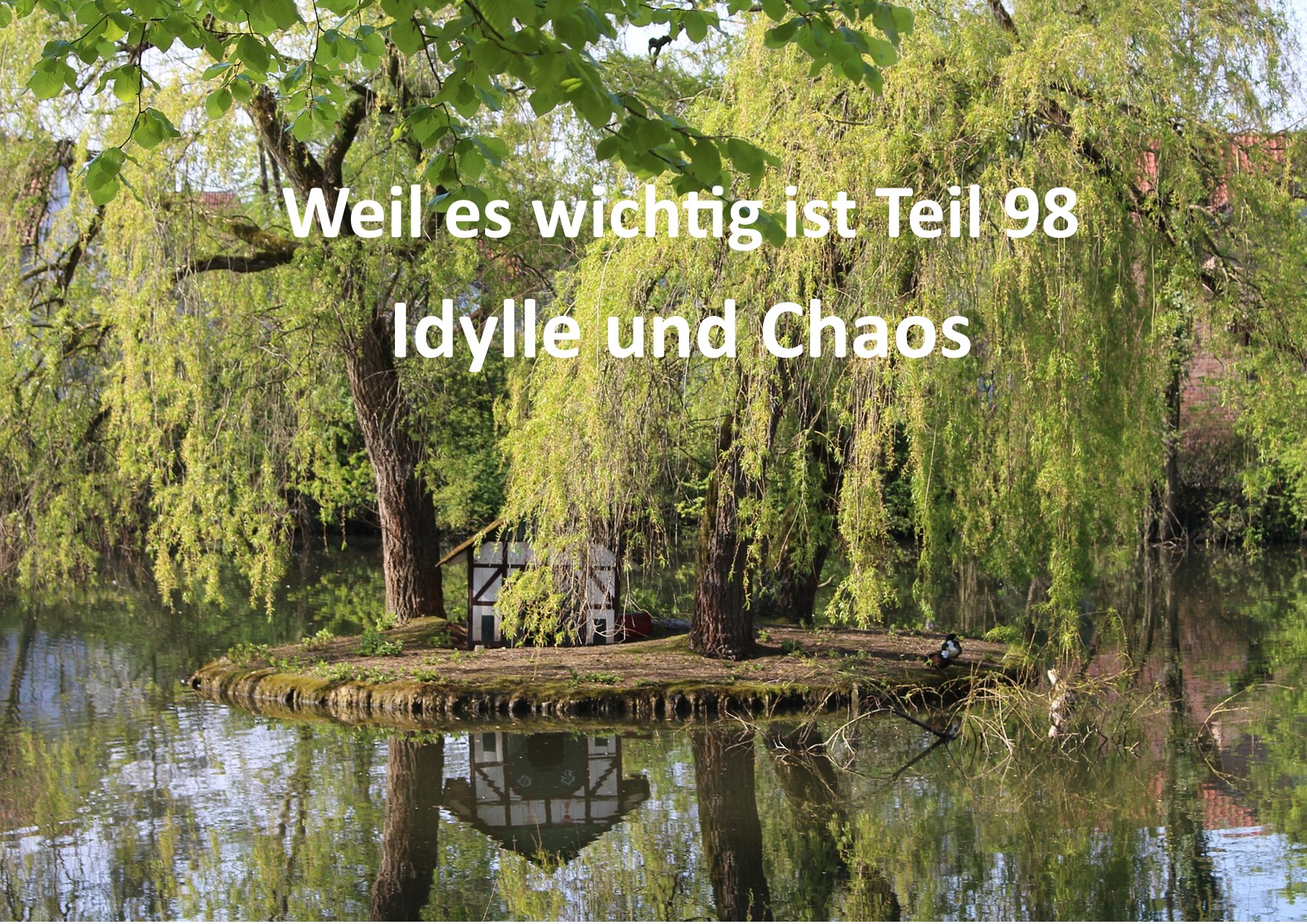 Weil es wichtig ist Teil 98