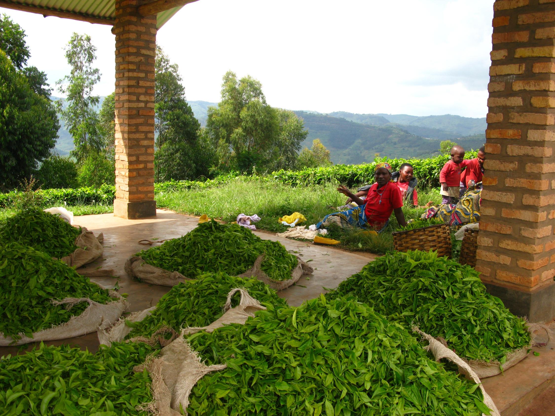 foto-homepage-fairer-handel-jpg