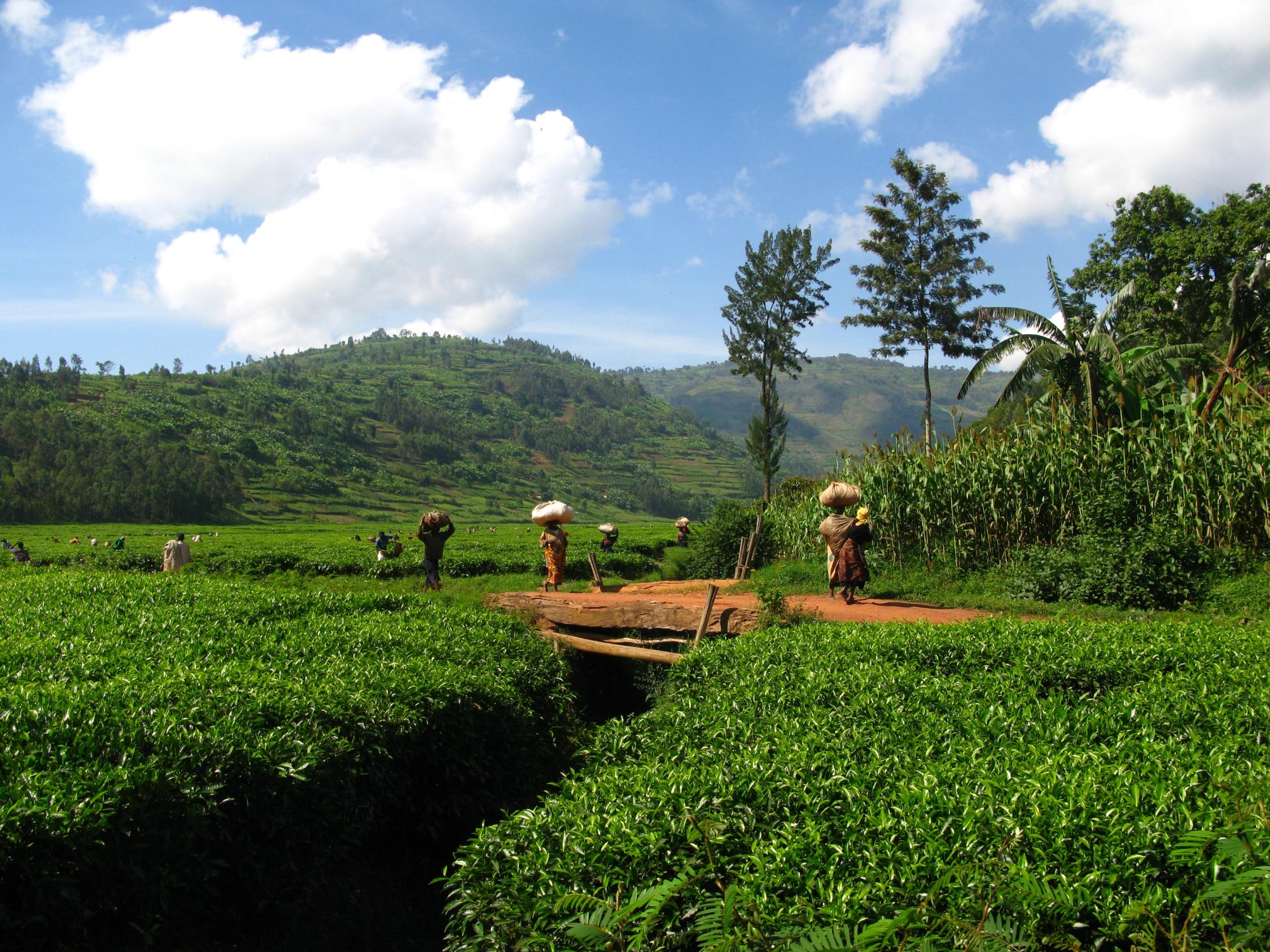 foto-homepage-fairer-handel2-jpg